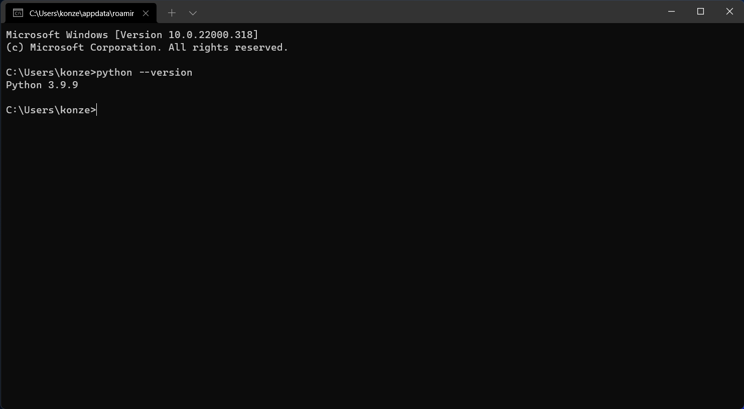 Python Windows 11 Command Prompt