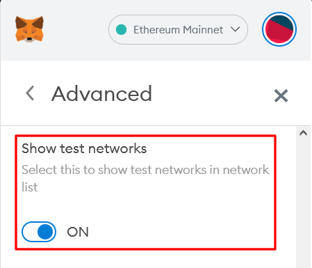 MetaMask Settings Show Test Networks